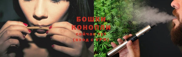 прущие крисы Балабаново