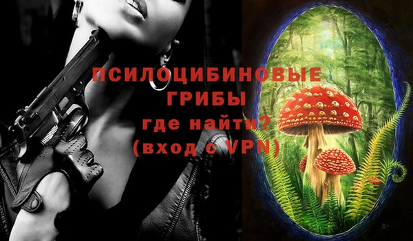хмурый Балахна