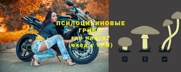 герыч Новодвинск