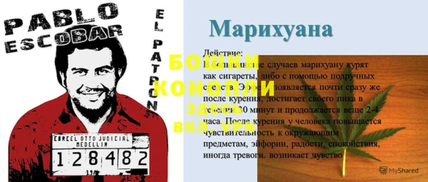 прущие крисы Балабаново