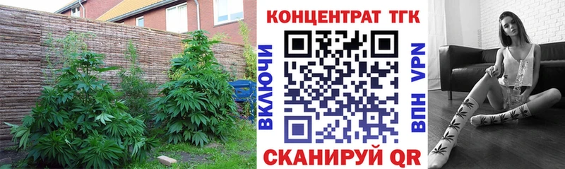 Дистиллят ТГК концентрат  закладка  Печора 