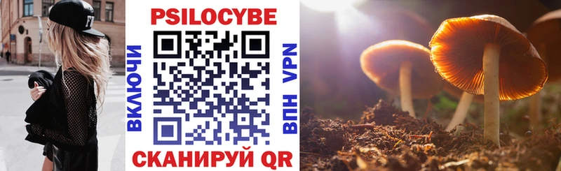 Псилоцибиновые грибы мицелий продажа наркотиков Печора